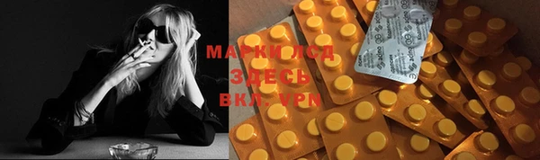 spice Магадан