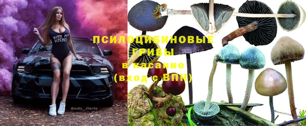 прущий лед Липки
