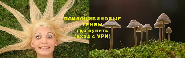 spice Магадан