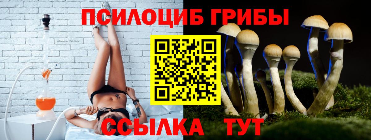 Галлюциногенные грибы GOLDEN TEACHER  Анапа  Галлюциногенные грибы Psilocybe 