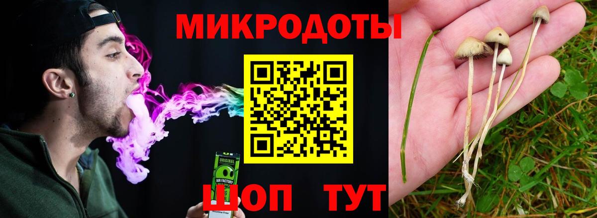 Галлюциногенные грибы MAGIC MUSHROOMS  Вход с VPN  Анапа 
