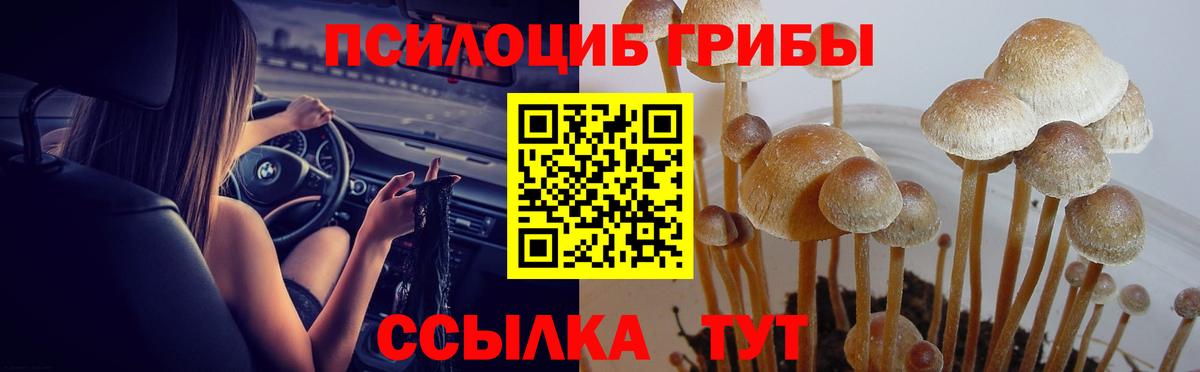 Галлюциногенные грибы MAGIC MUSHROOMS Анапа